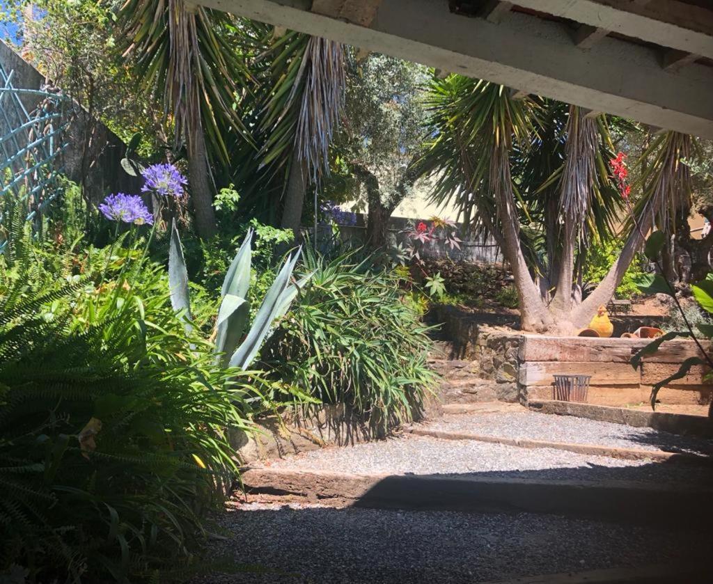 Redondo Lodges Junceira Εξωτερικό φωτογραφία