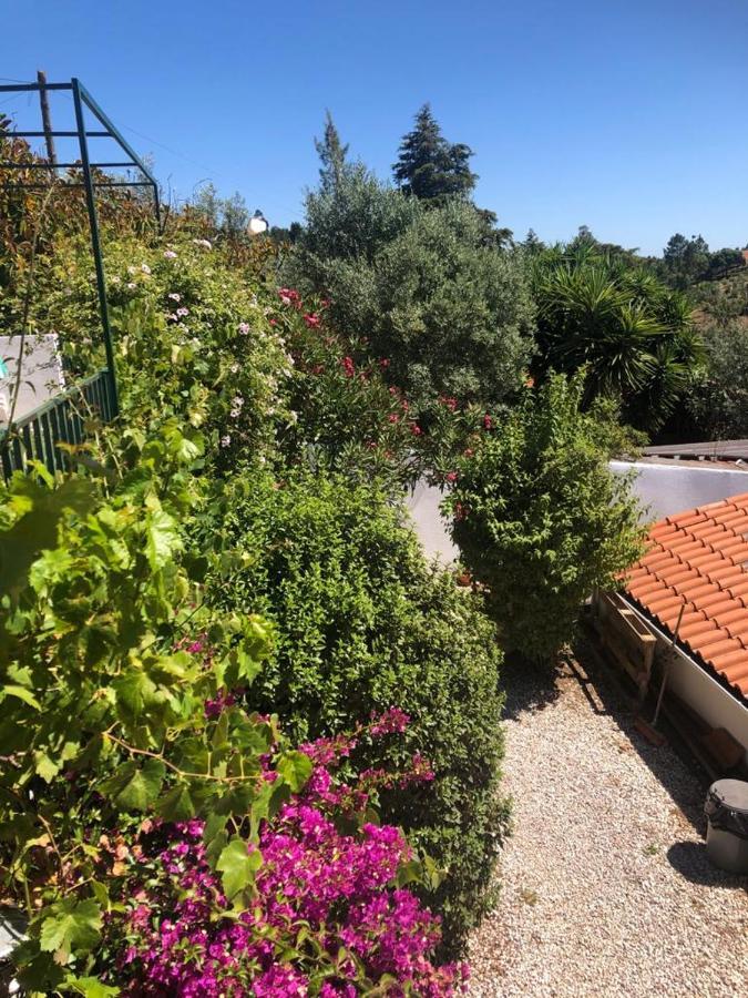 Redondo Lodges Junceira Εξωτερικό φωτογραφία