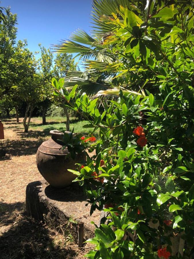 Redondo Lodges Junceira Εξωτερικό φωτογραφία