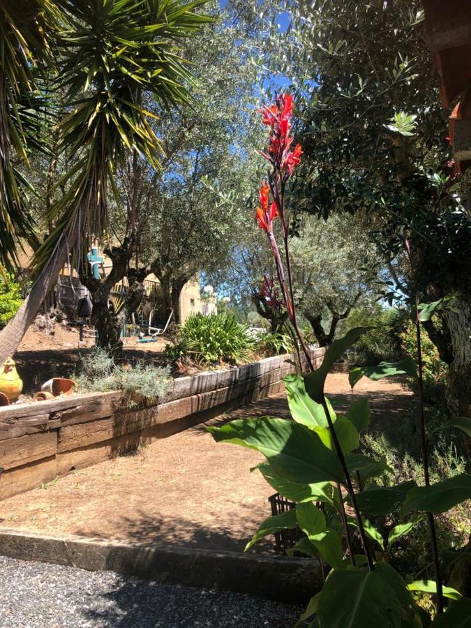 Redondo Lodges Junceira Εξωτερικό φωτογραφία