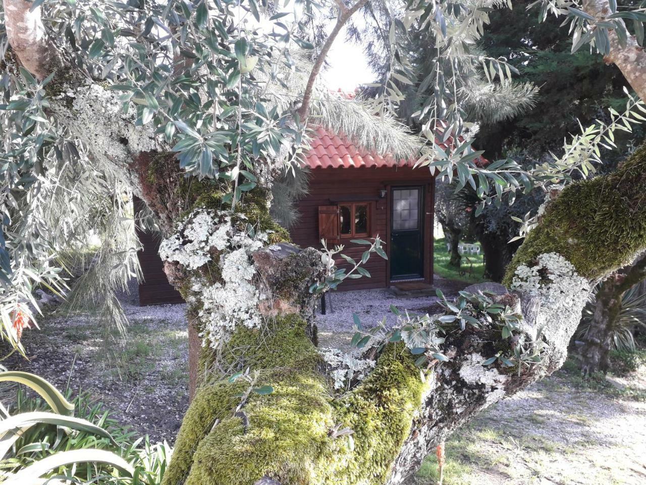 Redondo Lodges Junceira Εξωτερικό φωτογραφία
